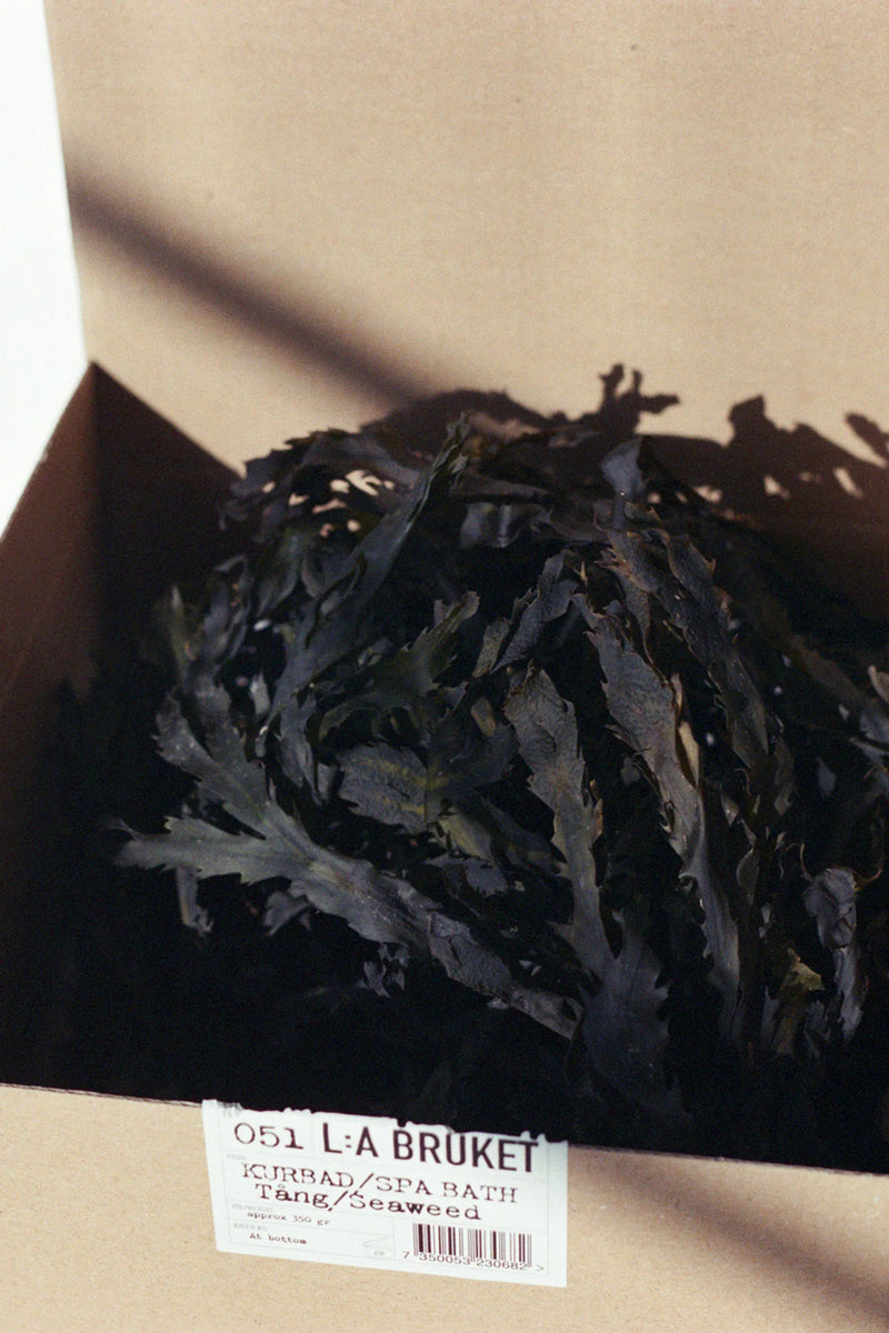 SPA SEAWEED DETOX BATH