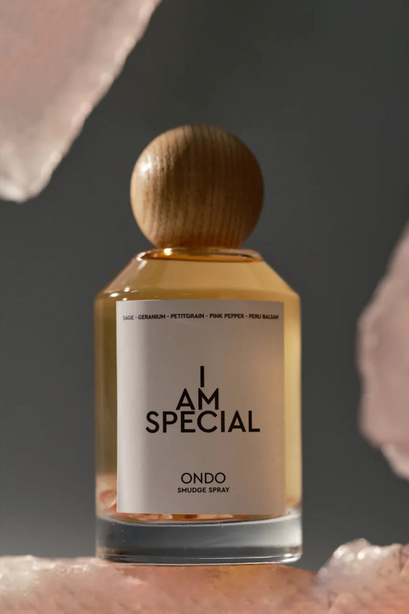 SMUDGE SPRAY SPECIAL