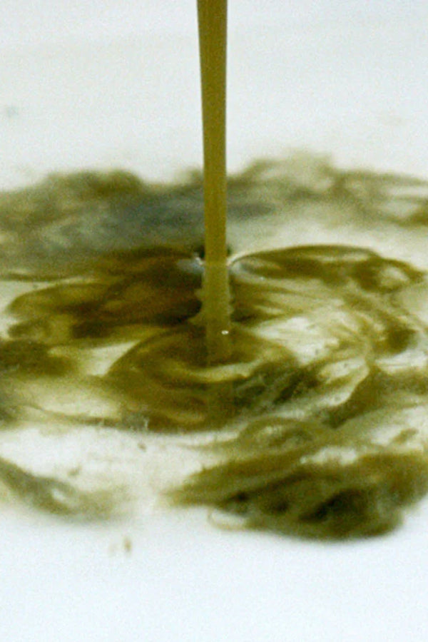 SPA SEAWEED DETOX BATH