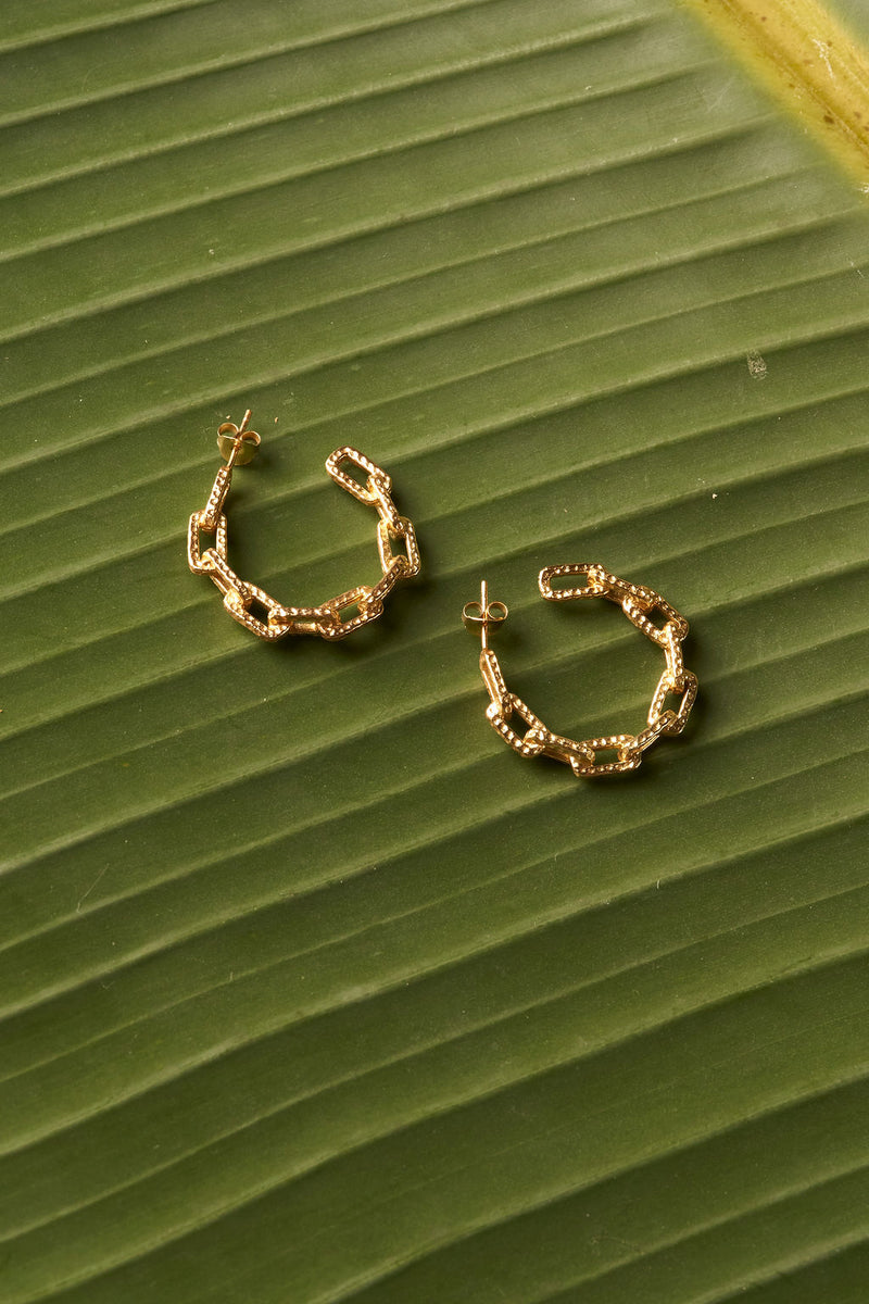 HOOK ME UP HOOPS