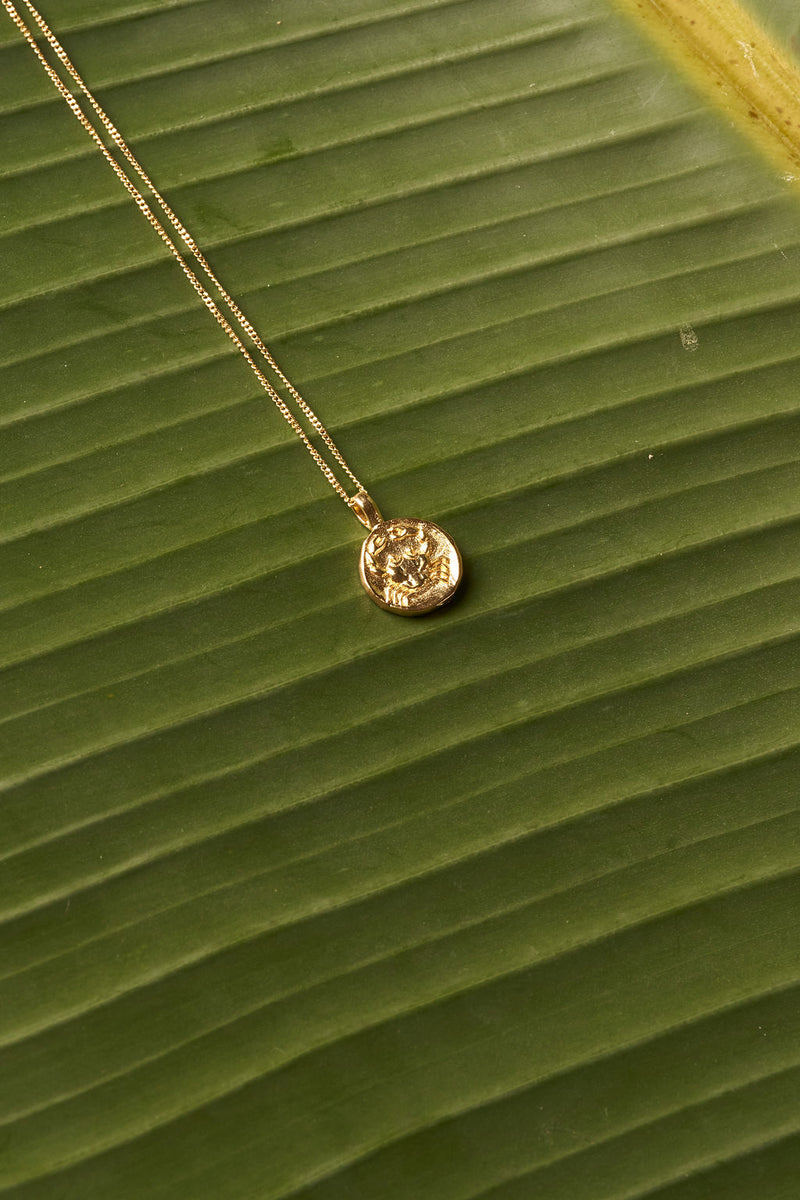ZODIAC NECKLACE