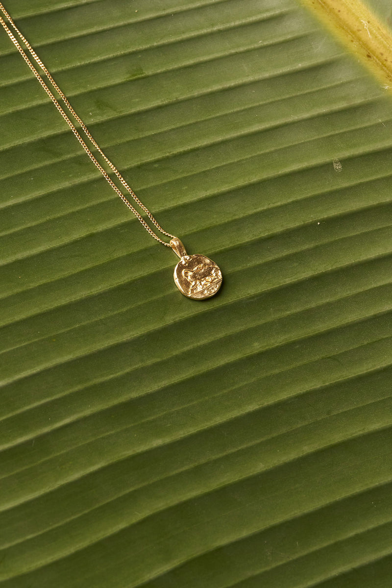 ZODIAC NECKLACE